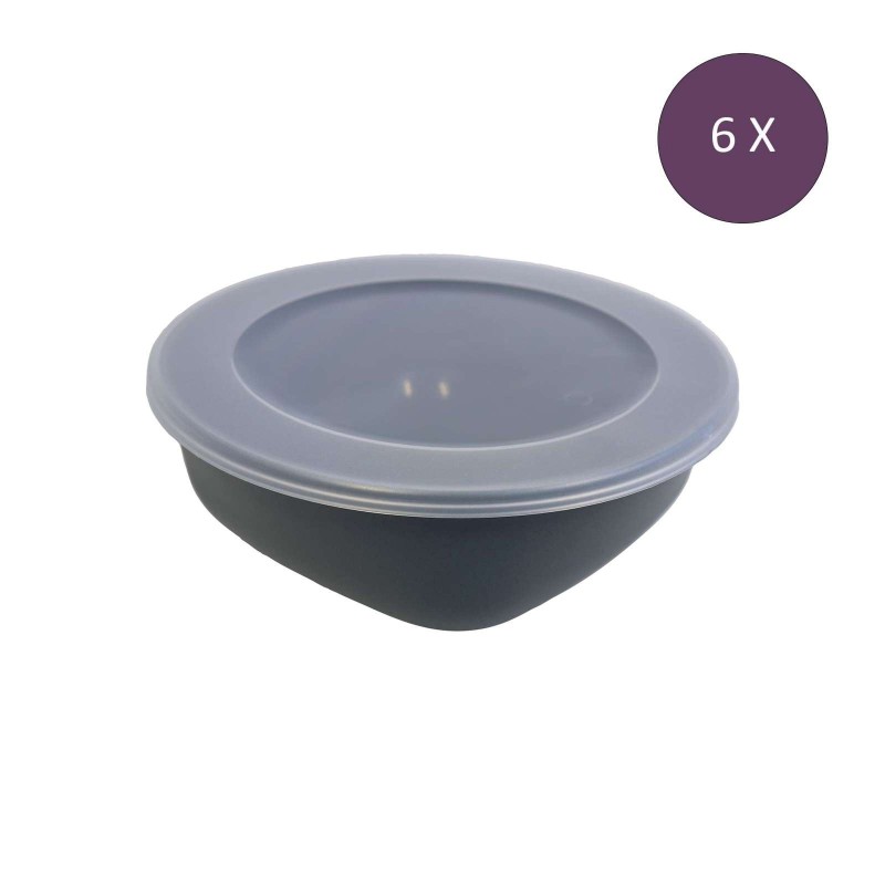 6 boîtes avec couvercle de 1.3 litres